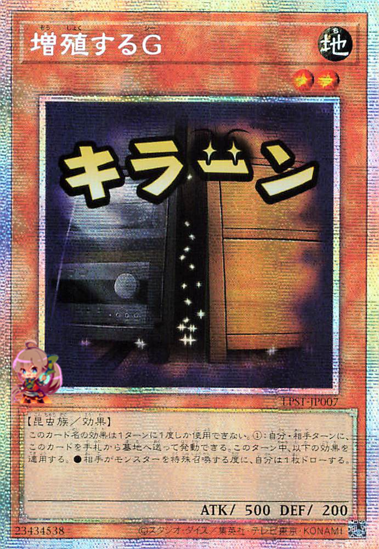 Maxx C [LPST-JP007-PSCR] – Cardingedge