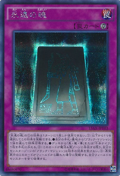 エターナルソウル【15AX-JPY03-MLR】