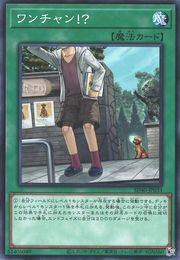 どこにいるの? 【SD40-JP033-C】