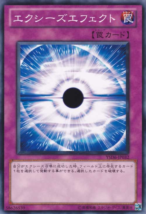 エクシーズ効果【YSD6-JP032-C】