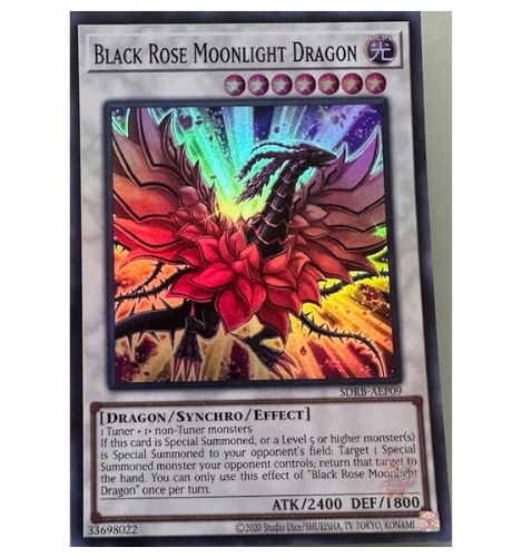 Black Rose Moonlight Dragon [SDRB-AEP09-SR]