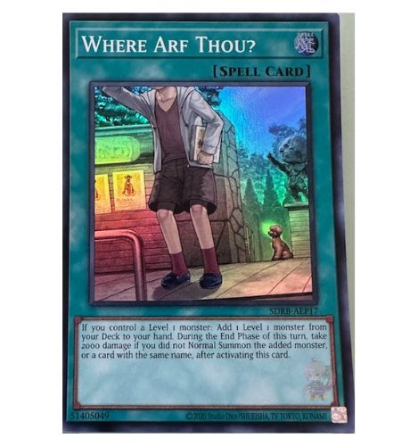 どこにいるの? 【SDRB-AEP17-SR】