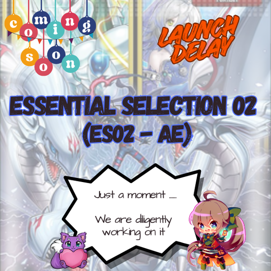ES02-AE: Launch Delay due to Holiday Break