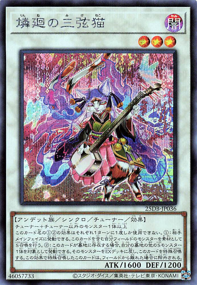 Shamisen Samsara Sorrowcat [25DB-JP036-SCR]