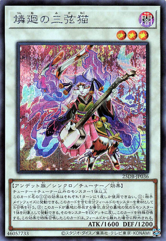 Shamisen Samsara Sorrowcat [25DB-JP036-SCR]