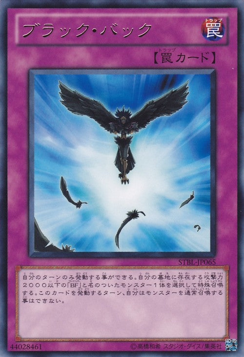 Blackback [STBL-JP065-R]