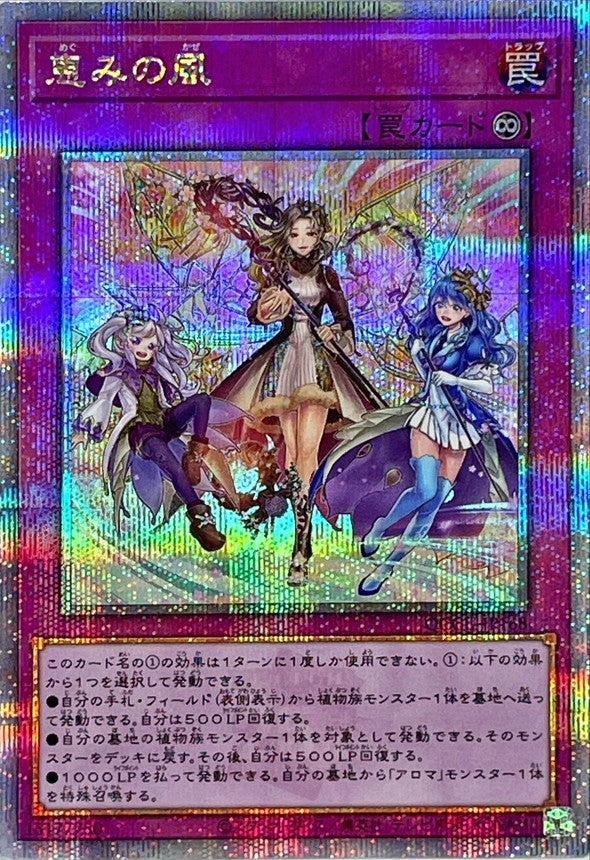 축복받은 바람 [QCCU-JP168-QCSCR]