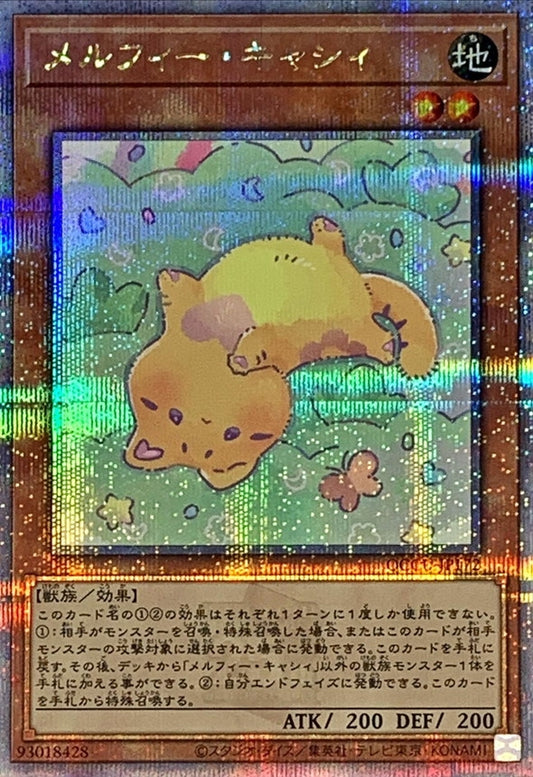 メルフィーキャティ [QCCU-JP172-QCSCR]