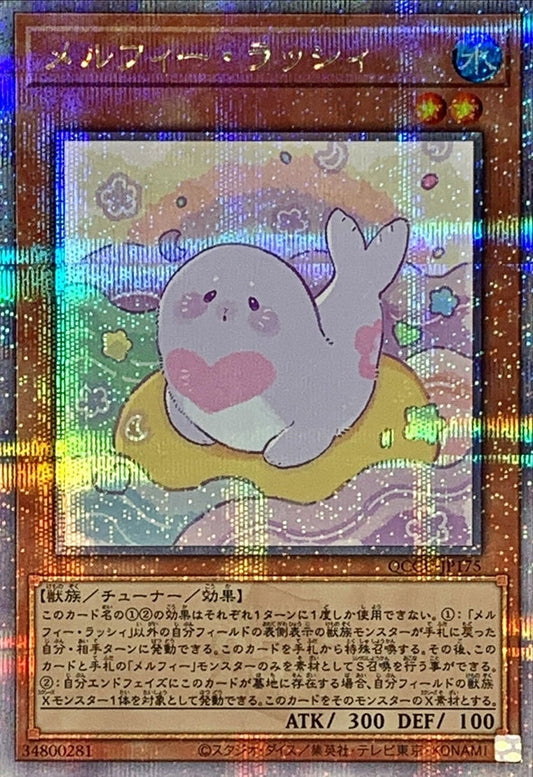 メルフィーピニー [QCCU-JP175-QCSCR]