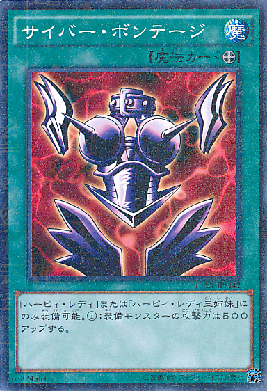 Cyber Shield [15AX-JPM42-MLR]