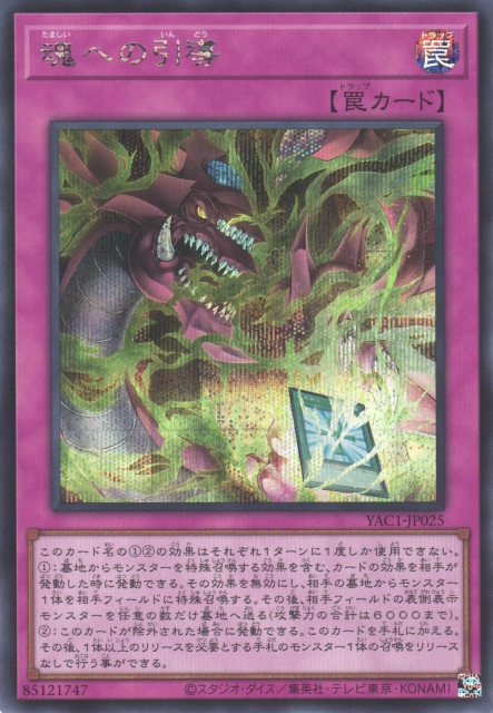 Final Journey of the Soul [YAC1-JP025-SCR]