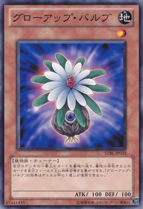 Glow-Up Bulb [STBL-JP018-C]