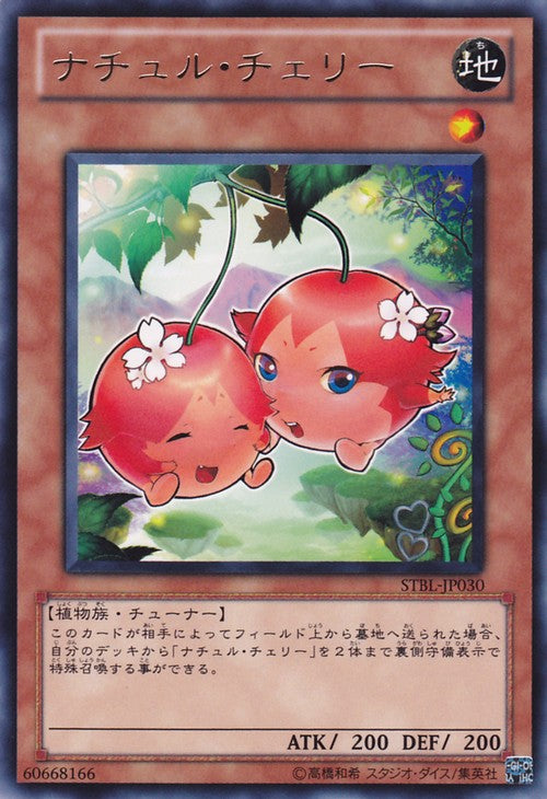 Naturia Cherries [STBL-JP030-R]