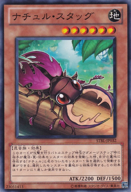 Naturia Stag Beetle [STBL-JP032-C]