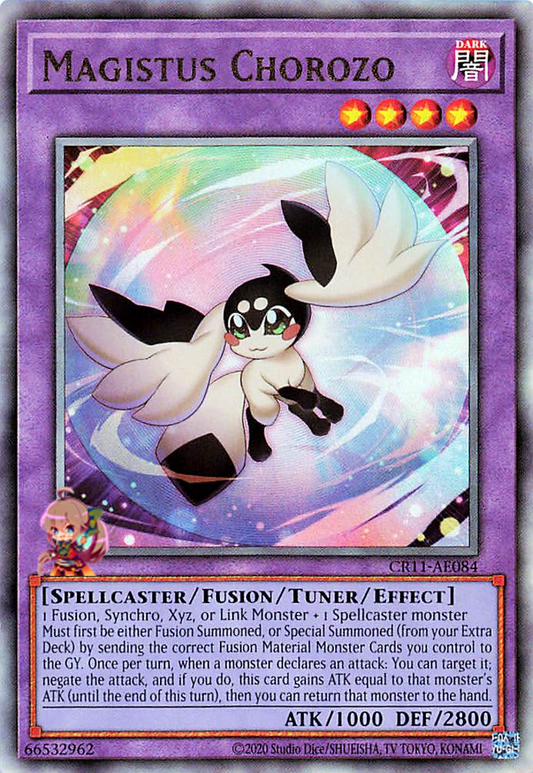 Magistus Chorozo [CR11-AE084-UTR]