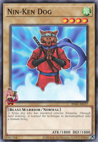 Nin-Ken Dog [BN01-AE117-C]