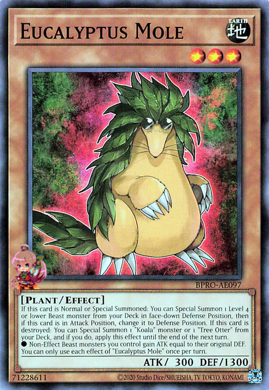 Eucalyptus Mole [BPRO-AE097-C]