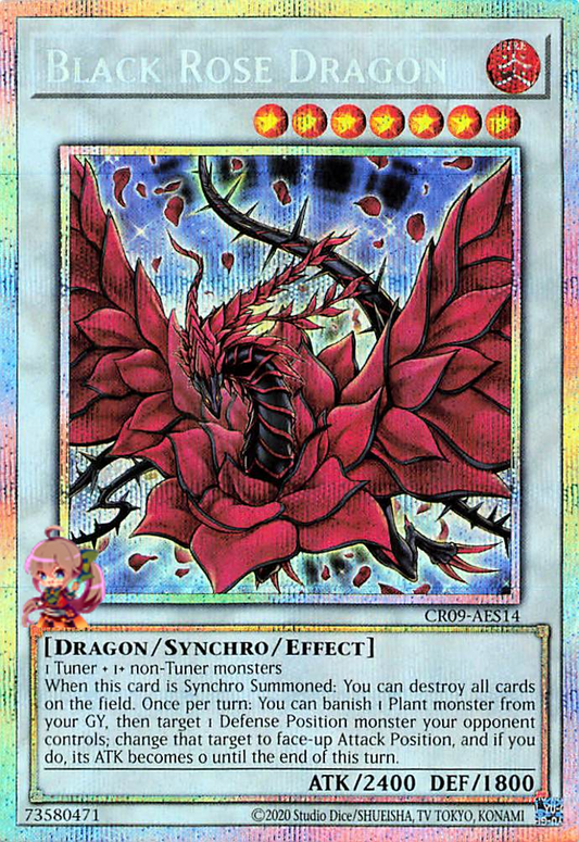 Black Rose Dragon [CR09-AES14-PSCR]