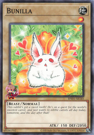 부닐라 [BN01-AE145-C]