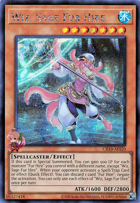 Wiz, Sage Fur Hire [CR10-AES20-SCR]