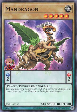 Mandragon [BN01-AE158-C]