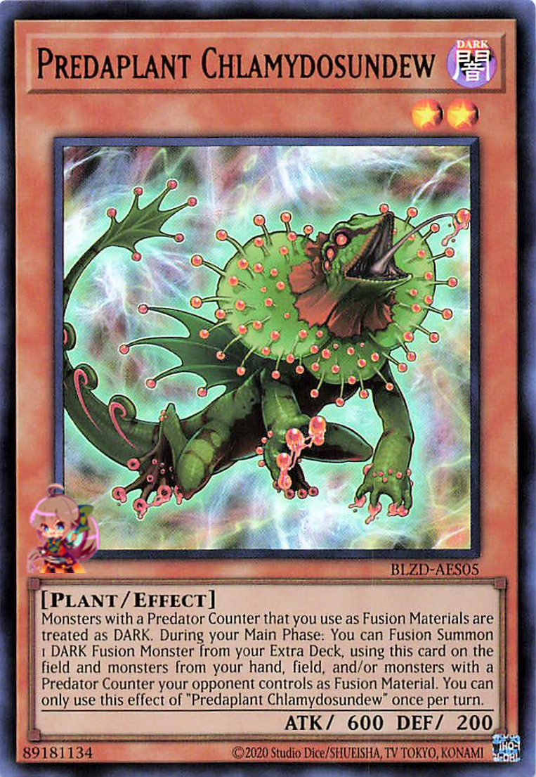 Predaplant Chlamydosundew [BLZD-AES05-UR]