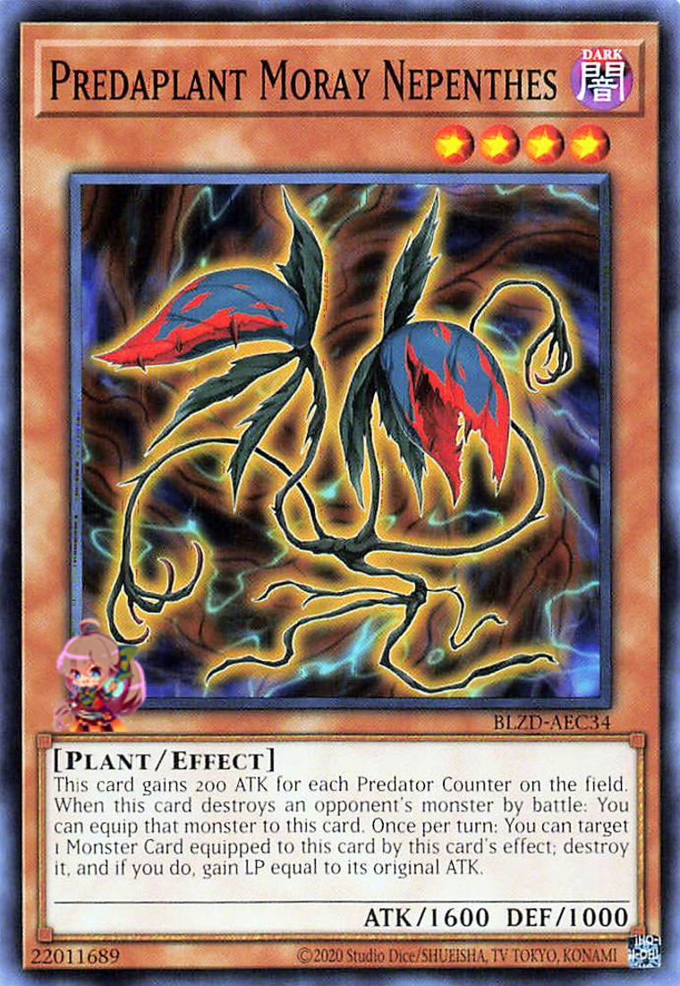 Predaplant Moray Nepenthes [BLZD-AEC34-C]