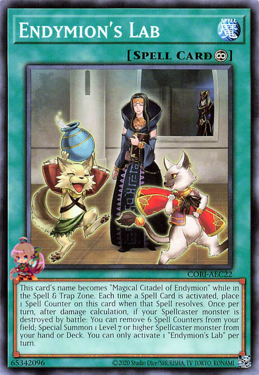 Endymion's Lab [CORI-AEC22-C]