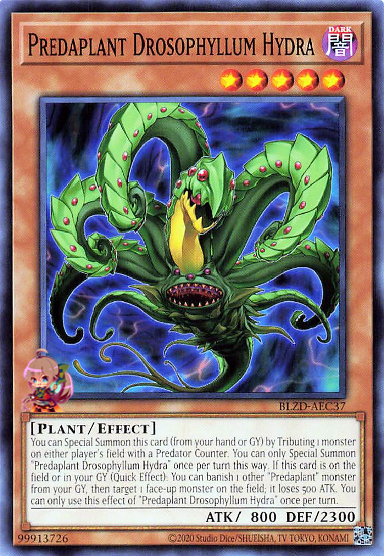 Predaplant Drosophyllum Hydra [BLZD-AEC37-C]
