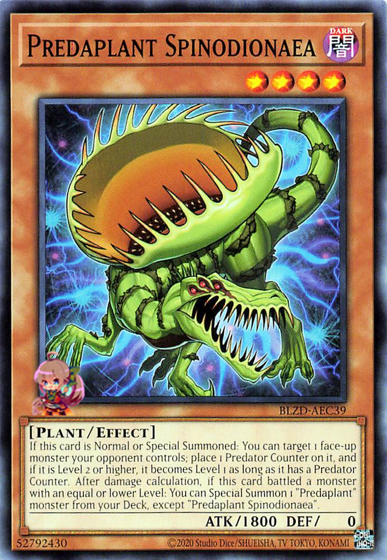 Predaplant Spinodionaea [BLZD-AEC39-C]