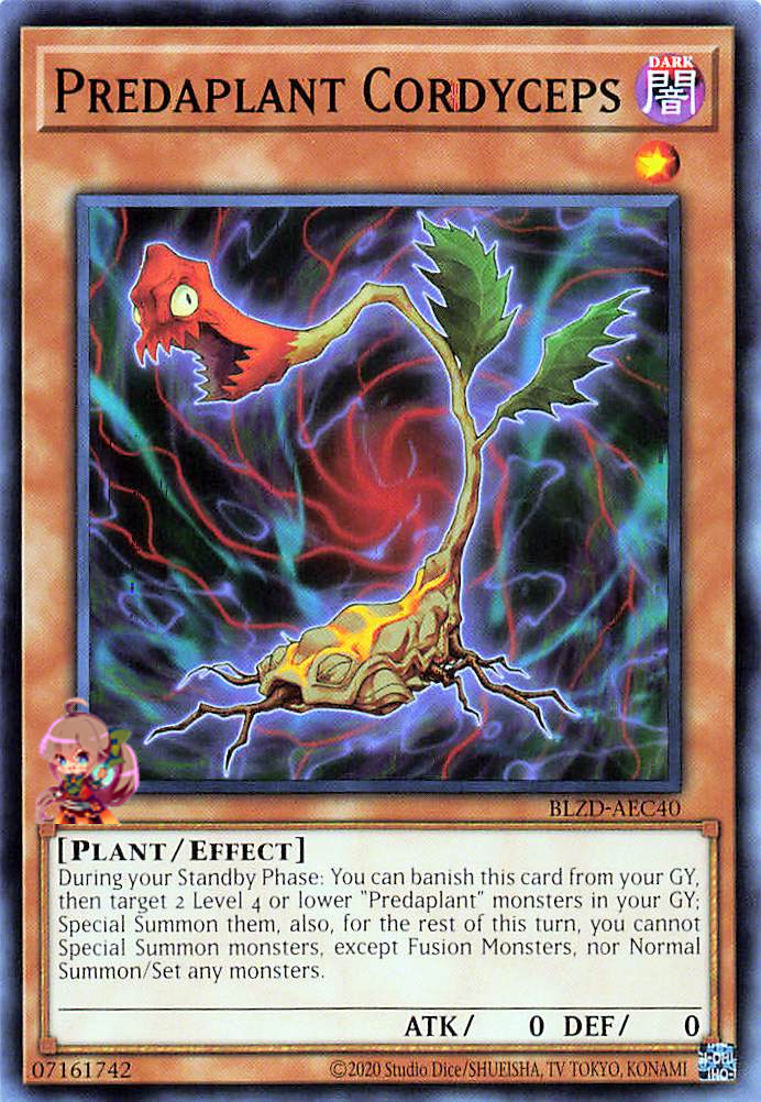 Predaplant Cordyceps [BLZD-AEC40-C]