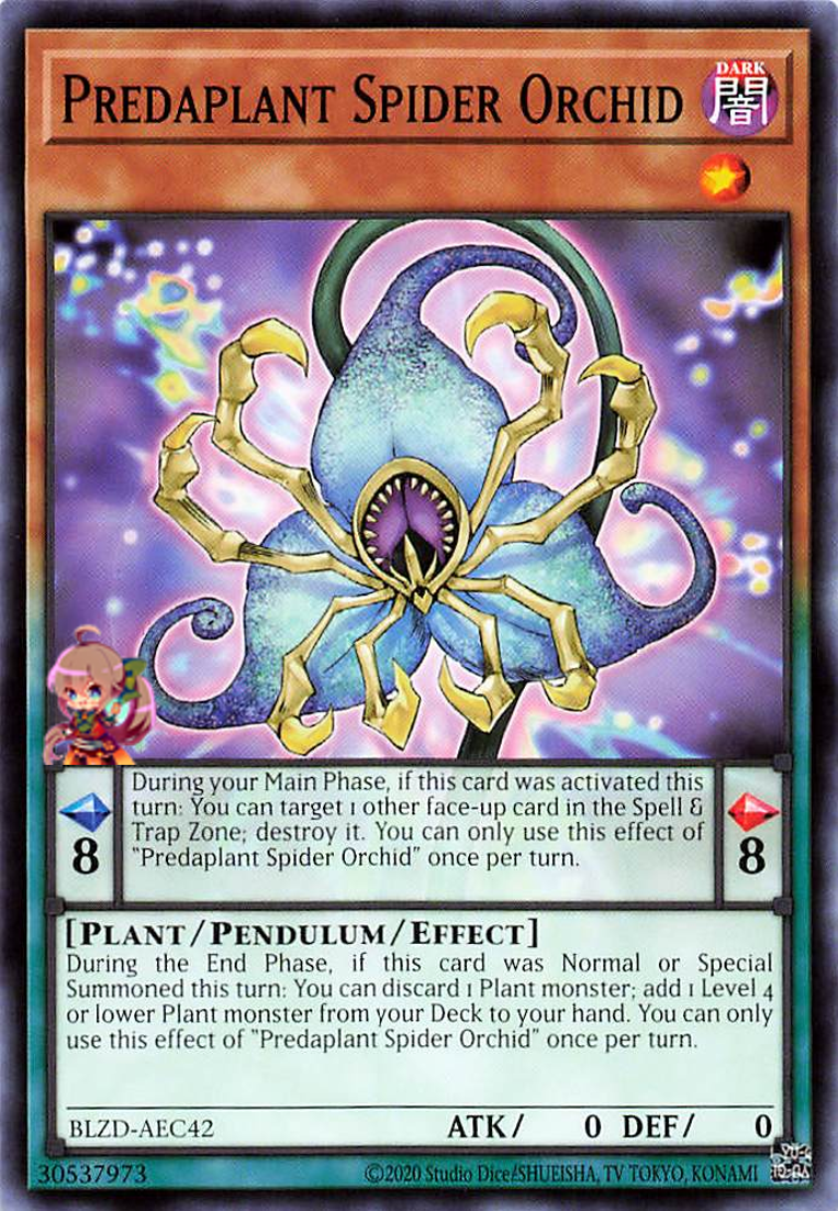 Predaplant Spider Orchid [BLZD-AEC42-C]