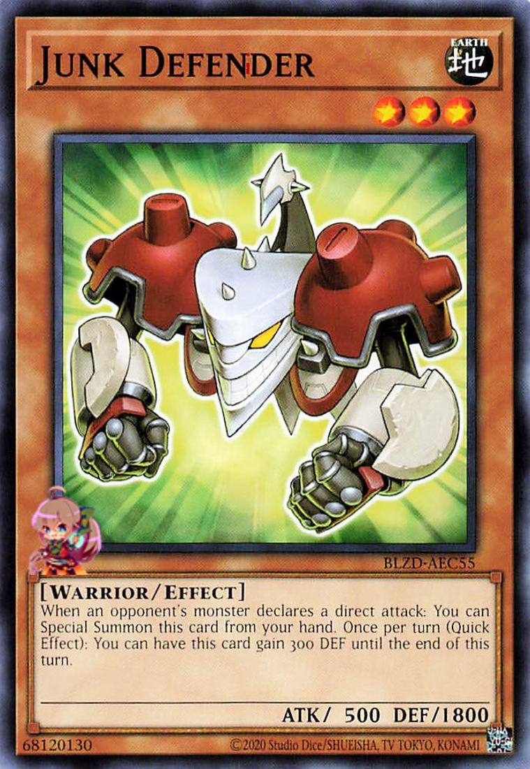 Junk Defender [BLZD-AEC55-C]
