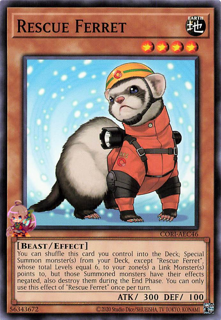 Rescue Ferret [CORI-AEC46-C]