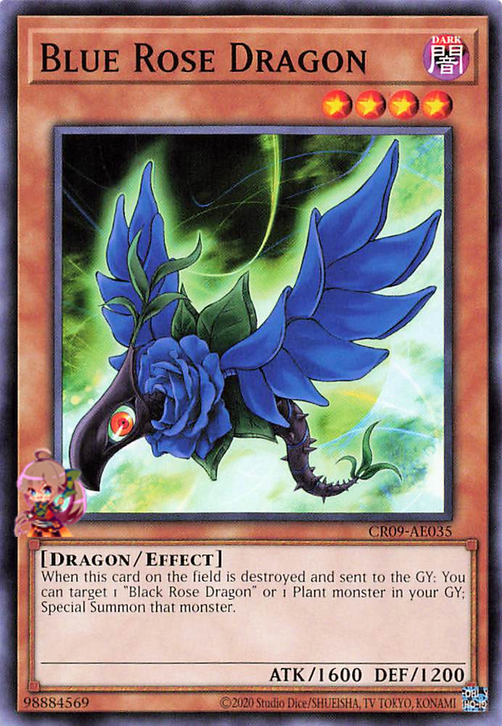 Blue Rose Dragon [CR09-AE035-C]