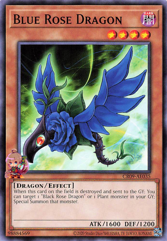 Blue Rose Dragon [CR09-AE035-C]