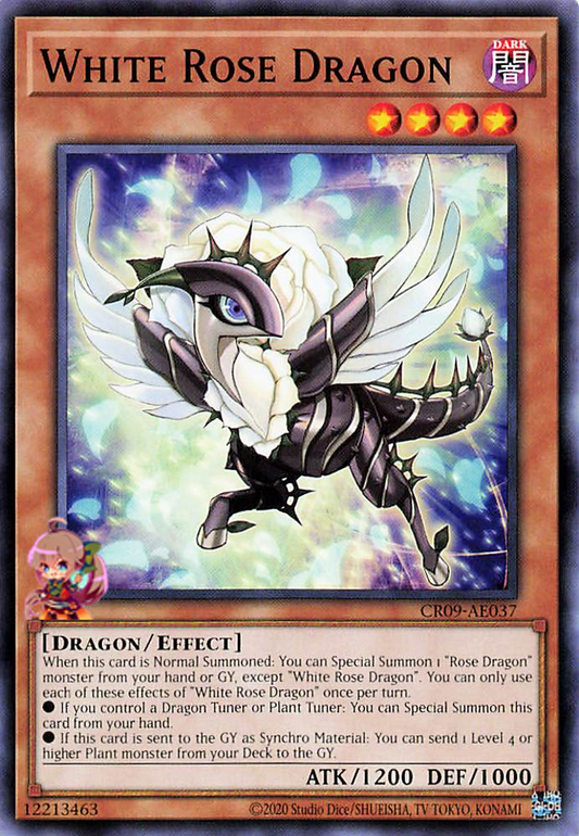 White Rose Dragon [CR09-AE037-C]