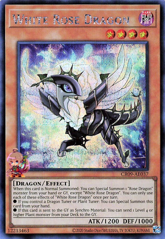 White Rose Dragon [CR09-AE037-SCR]