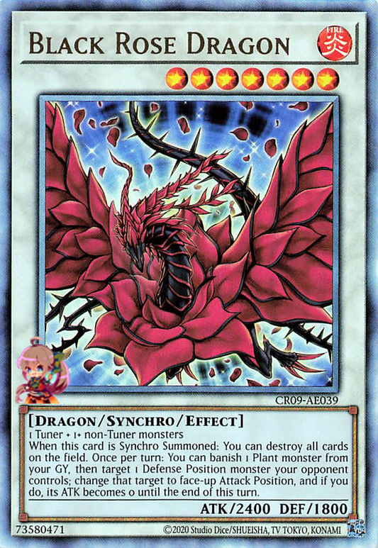 Black Rose Dragon [CR09-AE039-UTR]