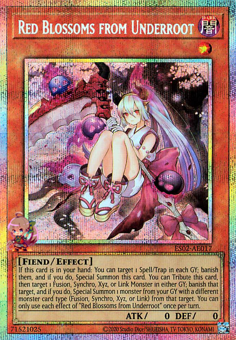 Red Blossoms from Underroot [ES02-AE017-PSCR]