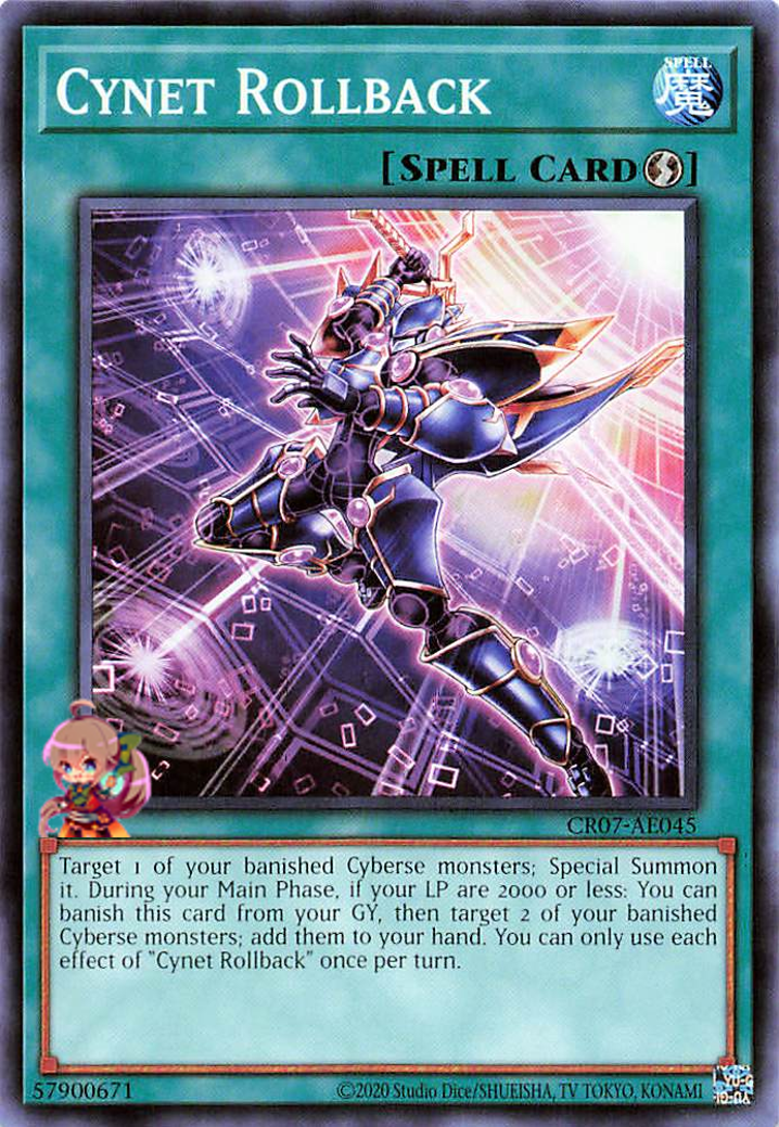 Cynet Rollback [CR07-AE045-C]