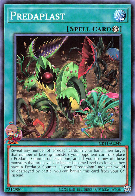 Predaplast [CR11-AE048-C]