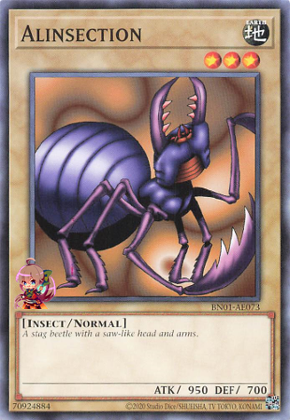 알린섹션[BN01-AE073-C]