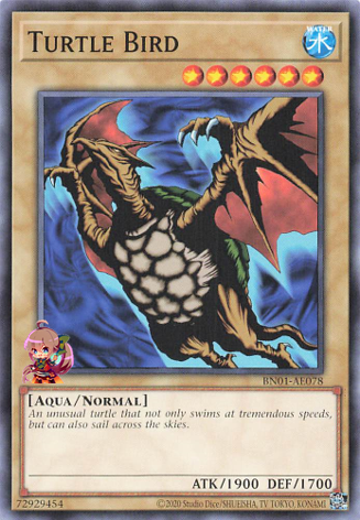 Turtle Bird [BN01-AE078-C]