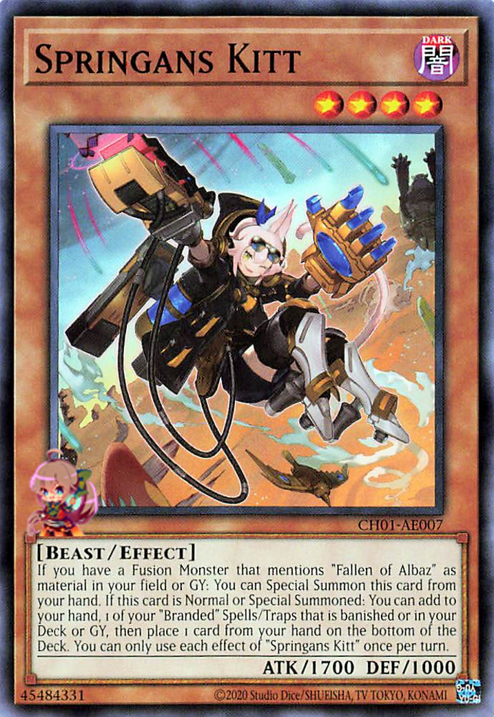 Springans Kitt [CH01-AE007-C]