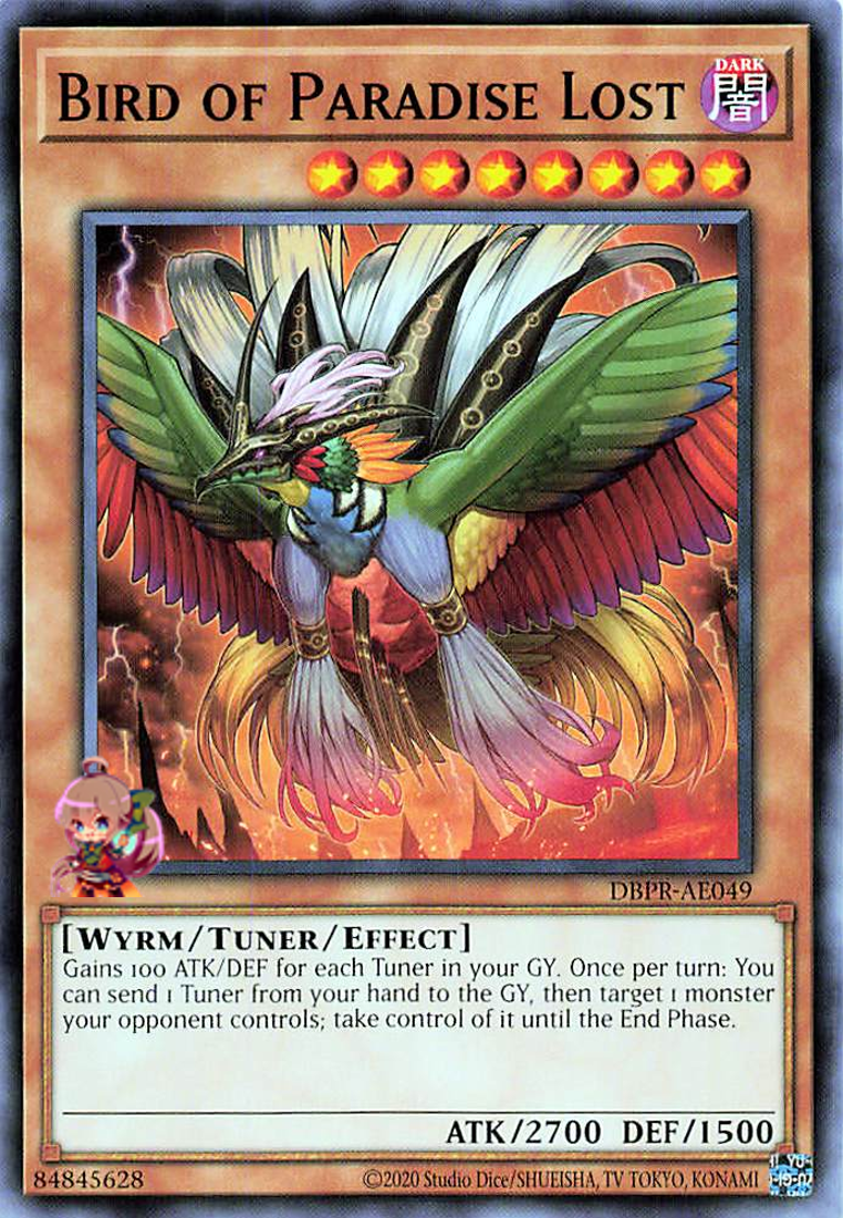 Bird of Paradise Lost [DBPR-AE049-C]