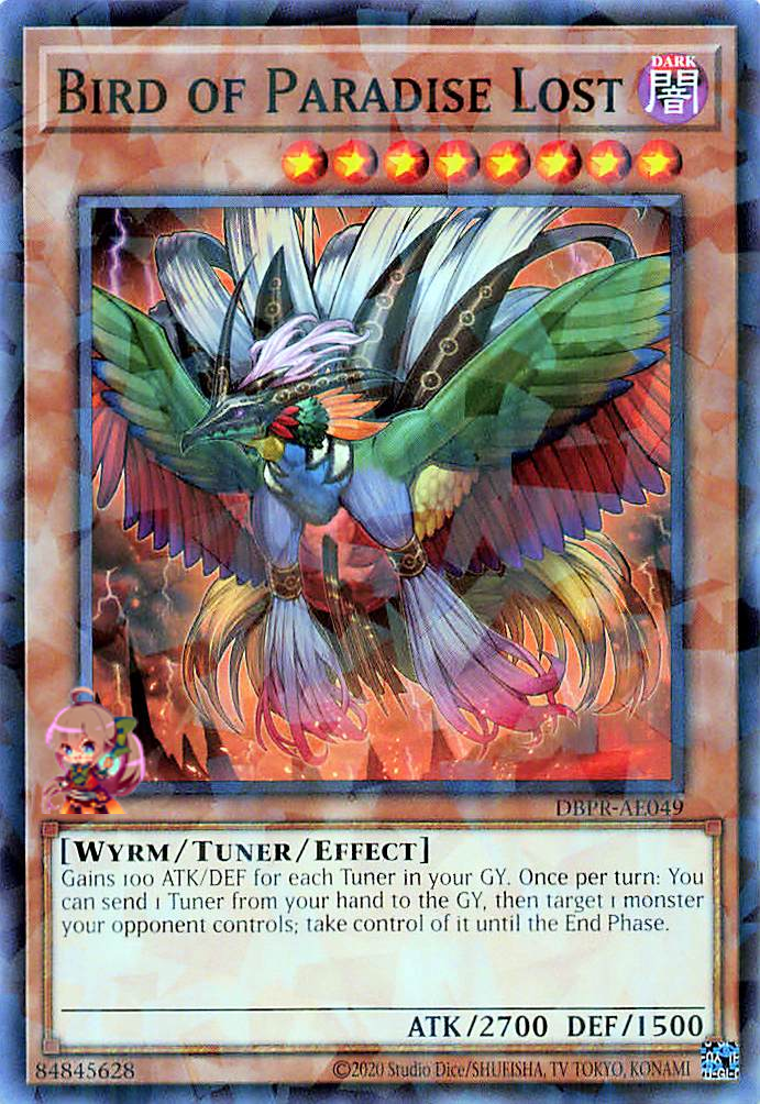 Bird of Paradise Lost [DBPR-AE049-NPR]