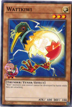 Wattkiwi [CR02-AE080-C] – Cardingedge