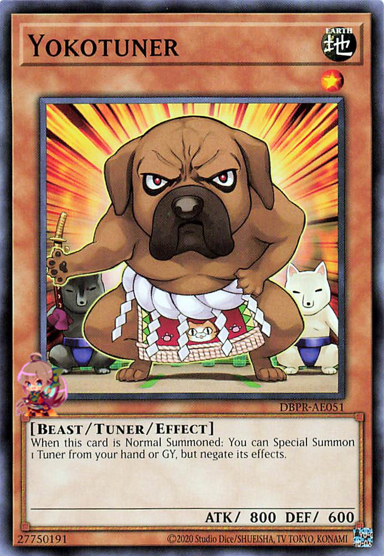Yokotuner [DBPR-AE051-C]