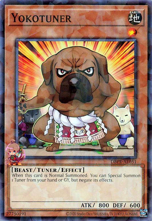Yokotuner [DBPR-AE051-NPR]